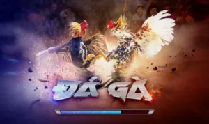 Đá Gà 3D Tại 8Day