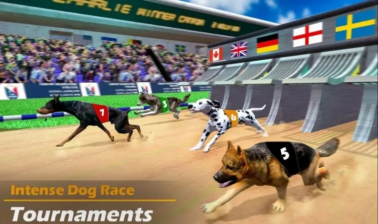 Chơi Đua Chó 8Day Hướng Dẫn Cược Nhanh Thắng Chắc Trong Tay 2 Giao diện chơi game nhanh Đua Chó 8Day