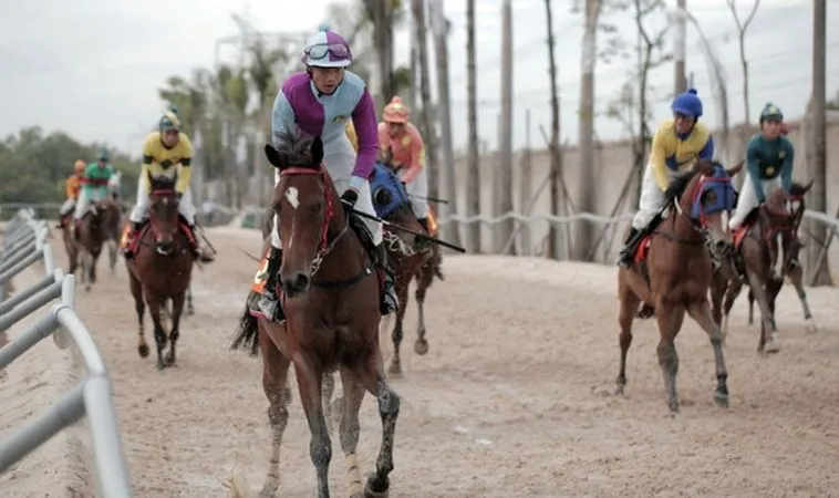 Khám Phá Cá Cược Đua Ngựa 8Day Chinh Phục Mọi Đường Đua 2 Cần tìm hiểu kỹ về bộ môn đua ngựa 8Day trước khi tham gia cá cược