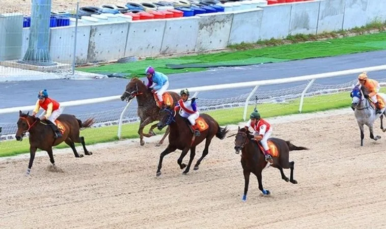 Khám Phá Cá Cược Đua Ngựa 8Day Chinh Phục Mọi Đường Đua 1 đua ngựa 8Day